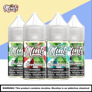 mints salt e liquid 30ml 6276 900x900 0