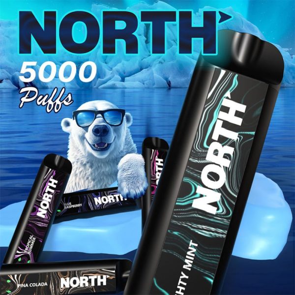 north 5000 puffs disposable vape 10ct display a33633 900x900 0